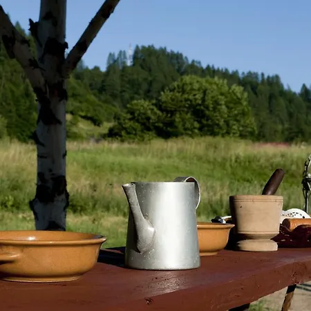 Sloneczna Osada - Komfortowe Chalet *