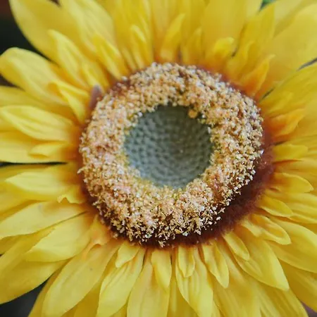 Sloneczna Osada - Komfortowe 木屋 Krościenko