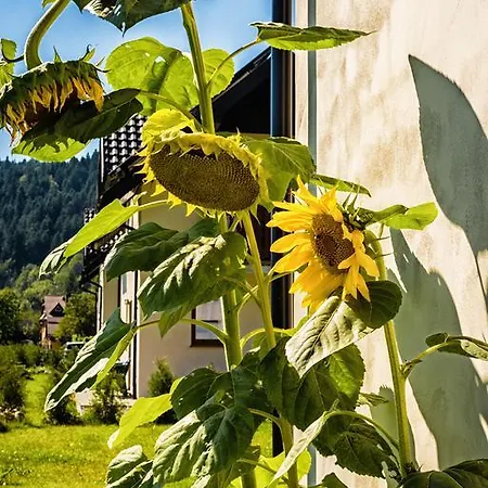 木屋 Sloneczna Osada - Komfortowe Krościenko